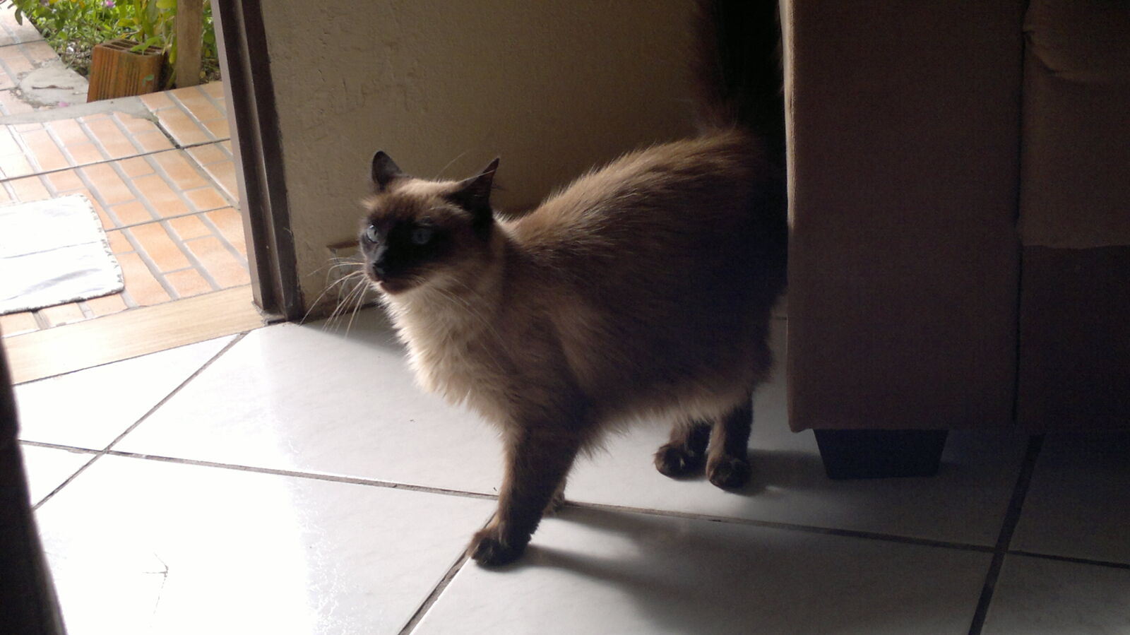 Nokia N8-00 sample photo