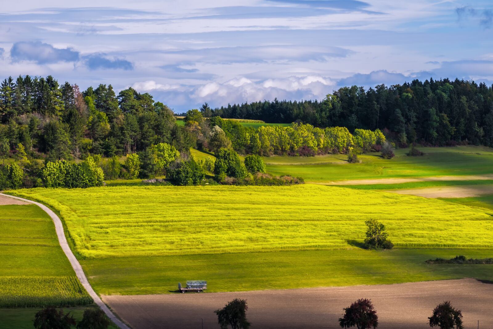 Fujifilm XF 55-200mm F3.5-4.8 R LM OIS sample photo. Landscape, autumn, trees photography