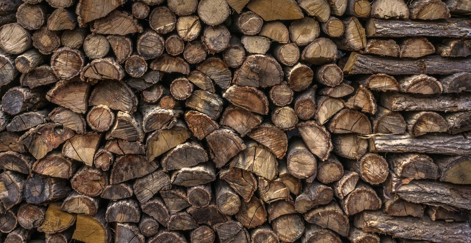 Sony E 30mm F3.5 Macro sample photo. Wood, log, firewood photography