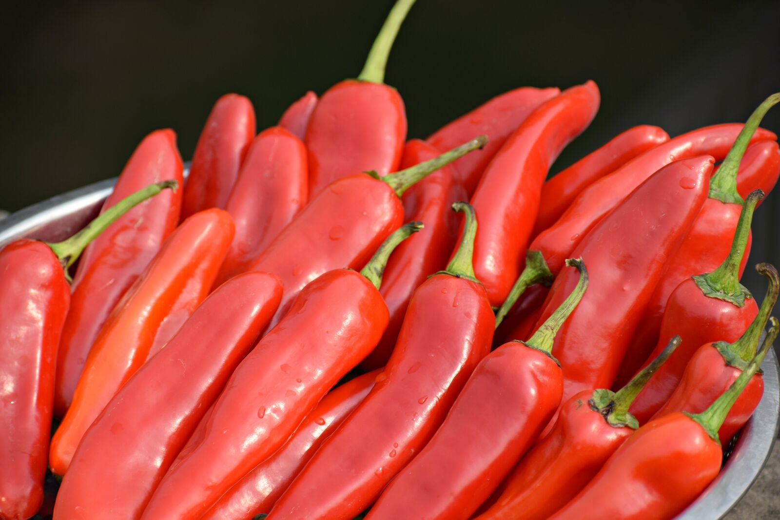 Nikon D3300 sample photo. Red, chilies, food photography
