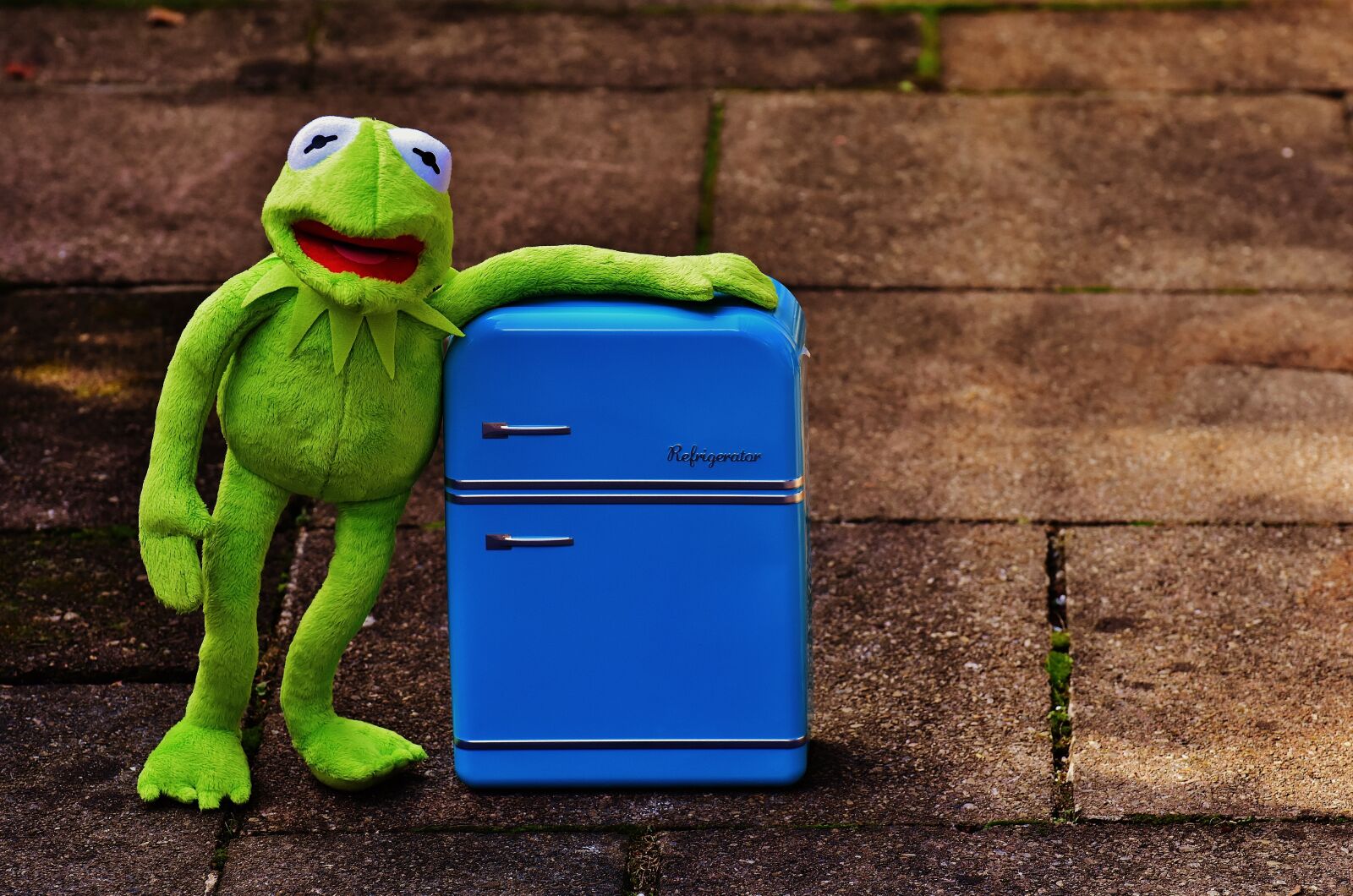 Nikon D7200 sample photo. Kermit, frog, refrigerator photography