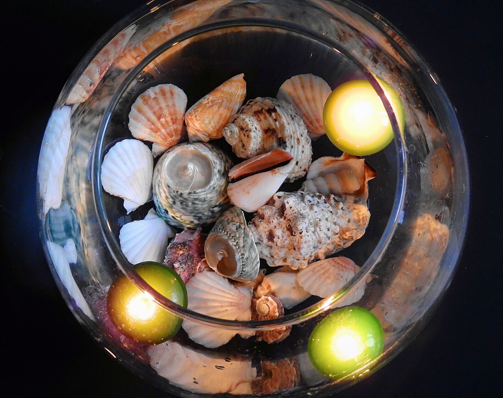 Nikon Coolpix P900 sample photo. Decoration, shells, water photography