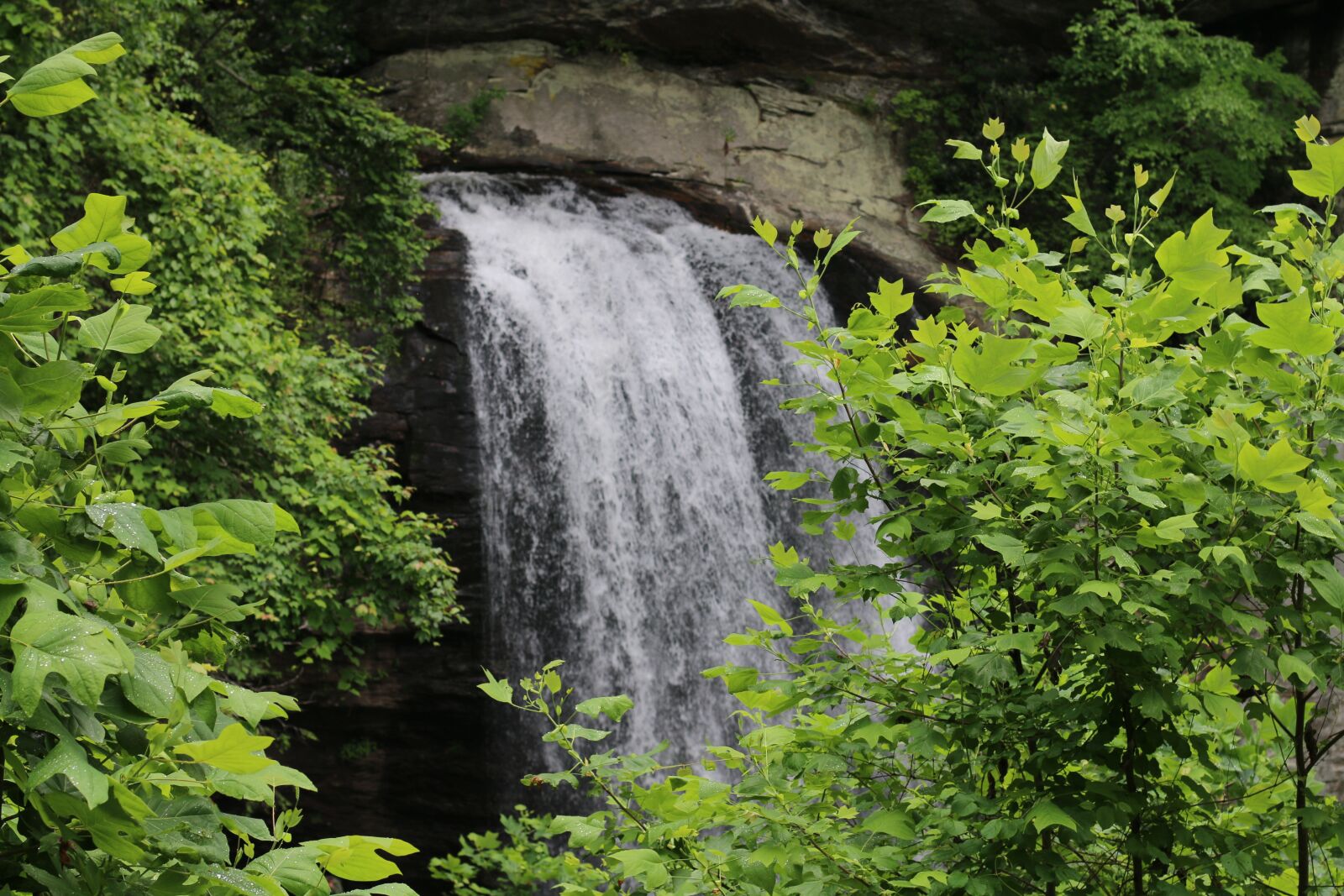 Canon EOS 70D + Canon EF 50mm F1.4 USM sample photo. Waterfall, nature, green photography