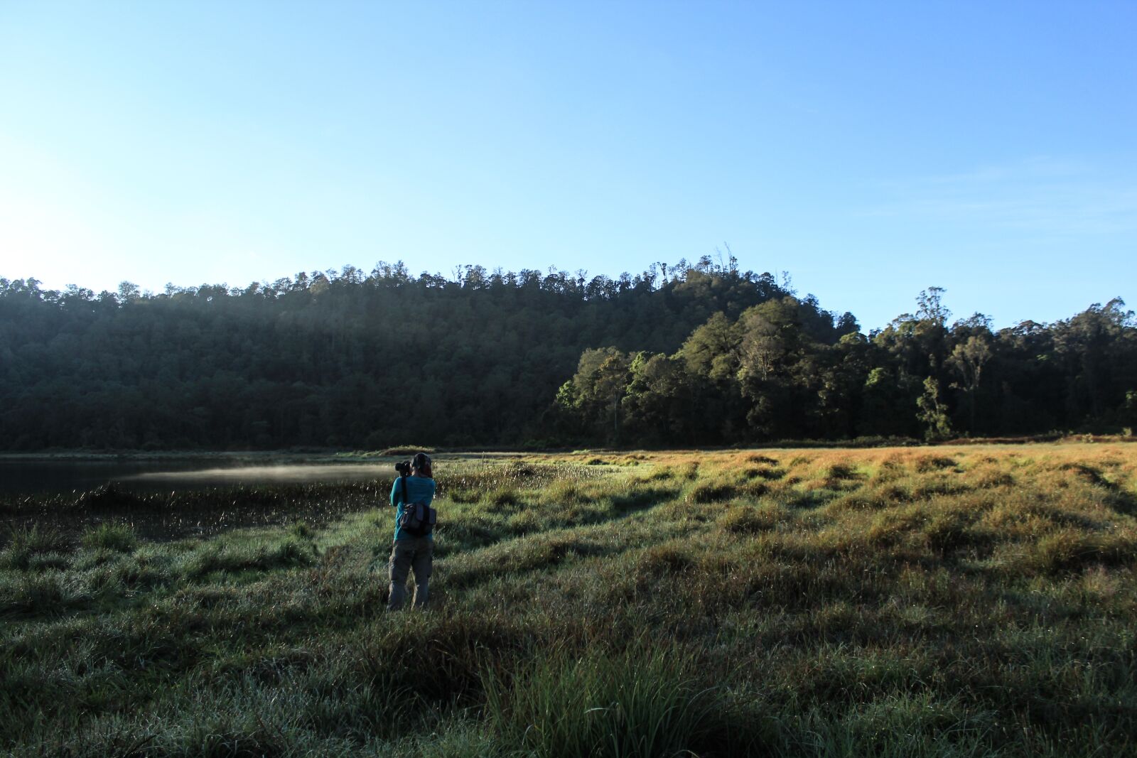 Canon EOS 600D (Rebel EOS T3i / EOS Kiss X5) sample photo. Travel, forest, morning photography