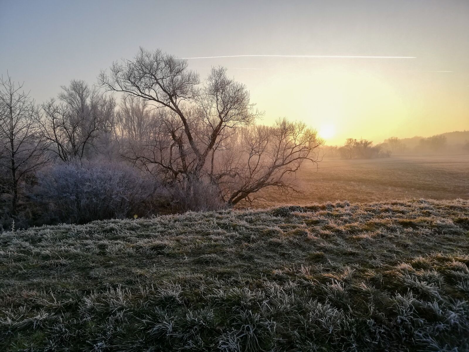 HUAWEI Mate 10 Lite sample photo. Winter, sun, tree photography