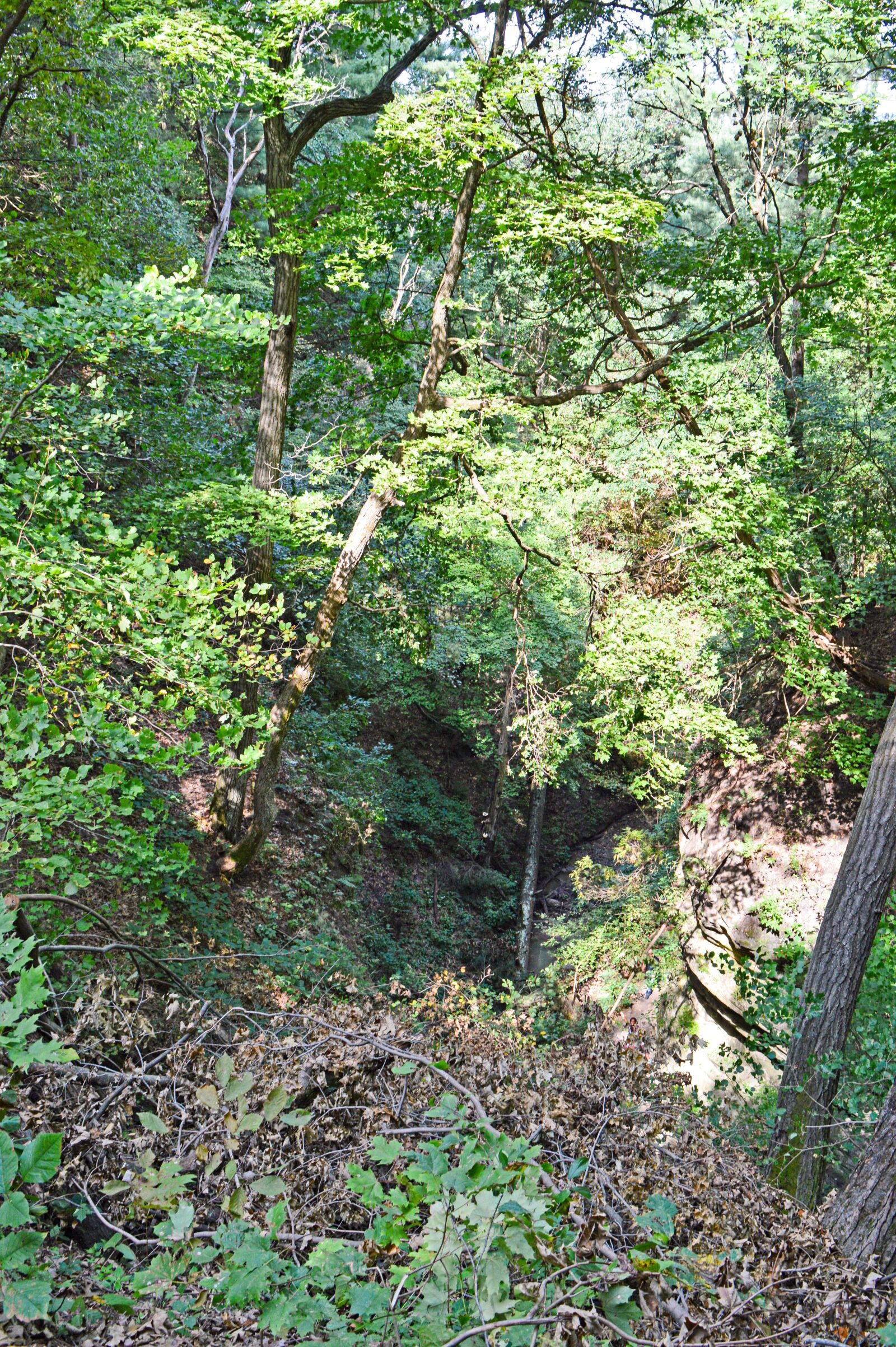 Nikon D3200 sample photo. Starved rock, state park photography