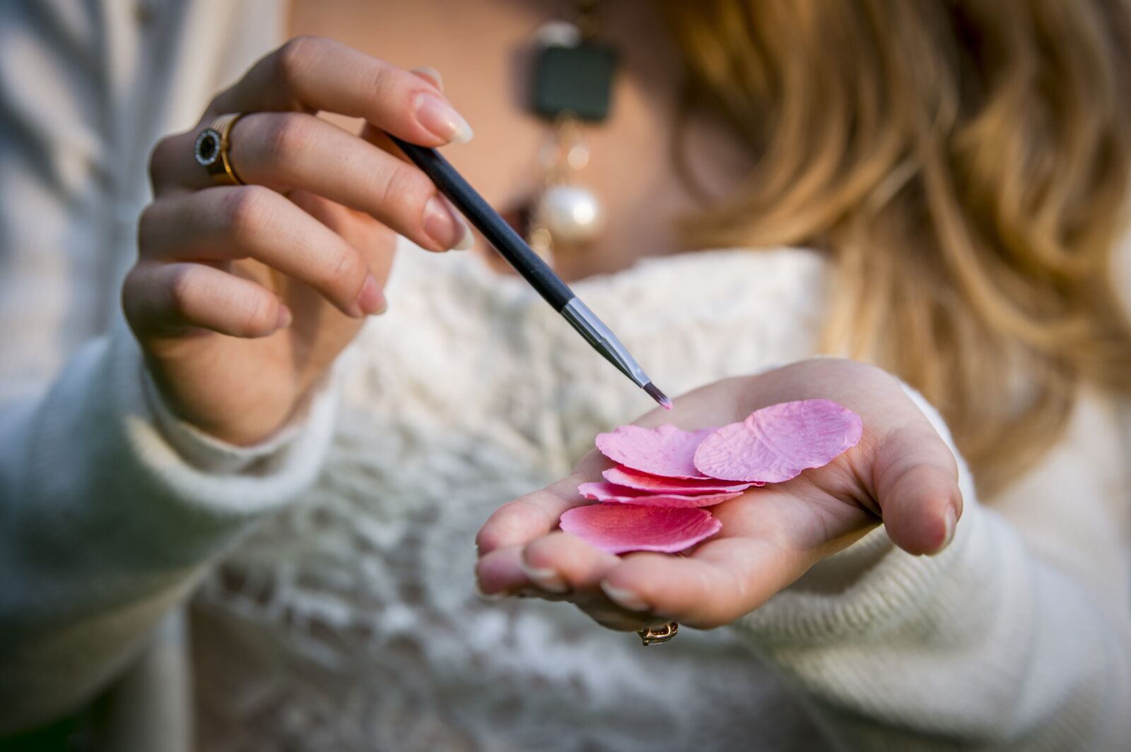 Nikon D4S sample photo. Rose, petals, blusher photography