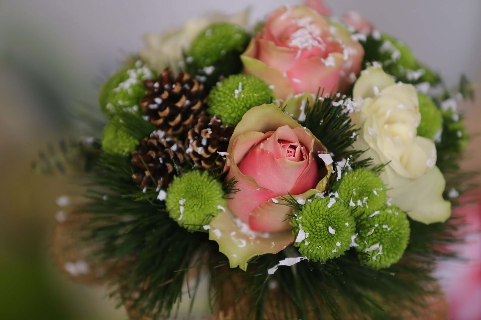 Canon EF 70-200mm F2.8L IS II USM sample photo. Roses, pastel, arrangement, conifers photography
