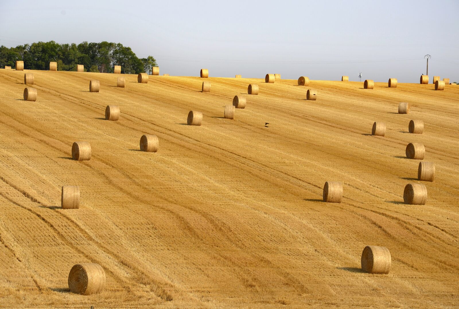 Nikon D5100 sample photo. Harvest, straw, field photography