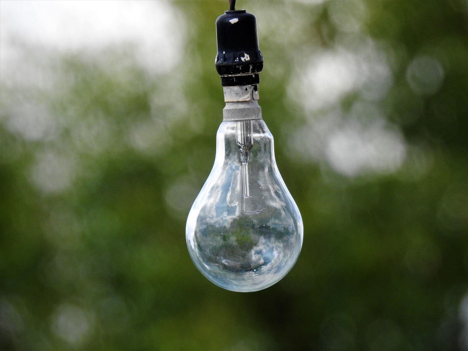 Nikon Coolpix P900 sample photo. Bulb, electricity, light photography