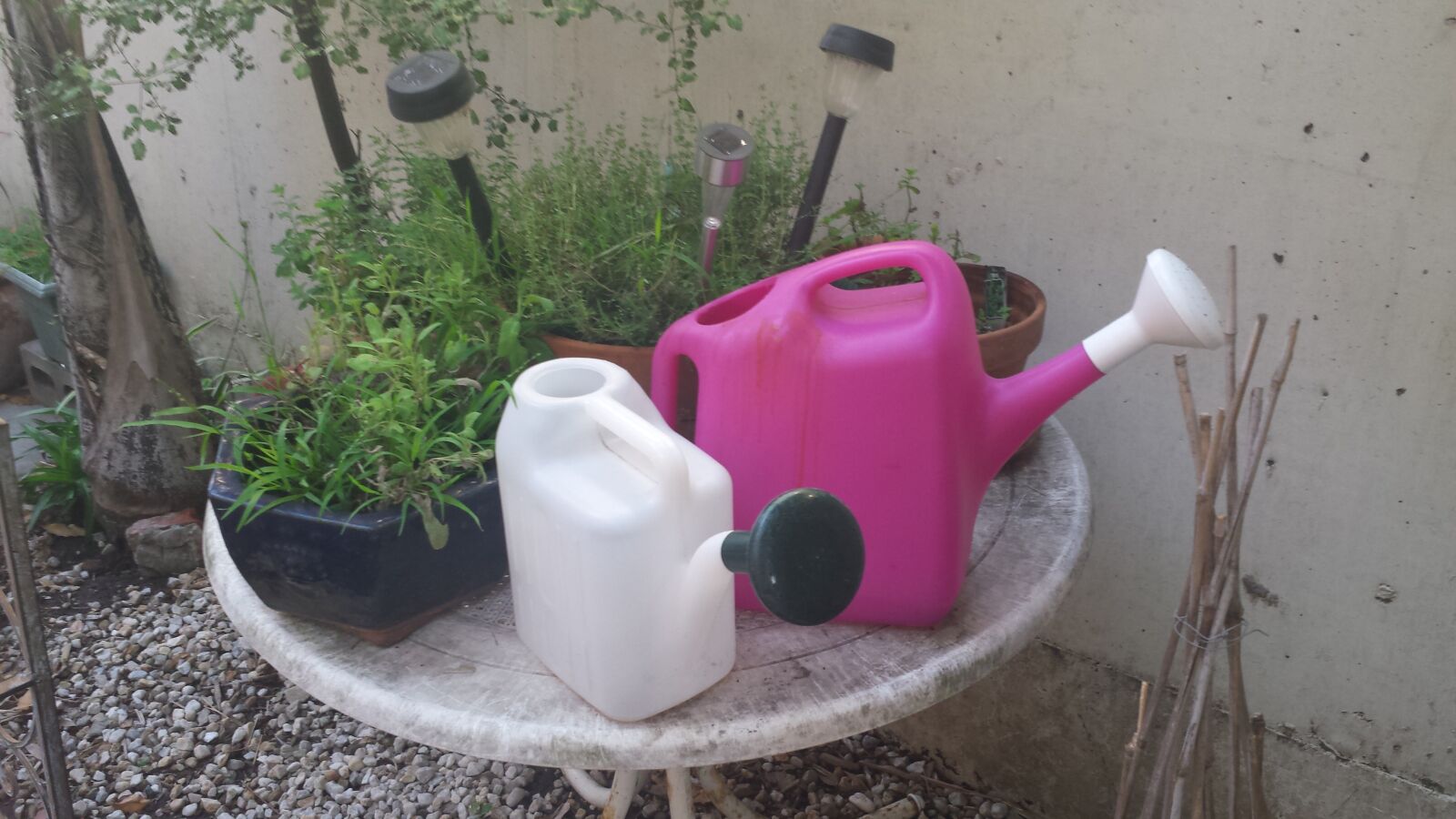 Samsung Galaxy S4 sample photo. Beautiful, garden, herbs, place photography