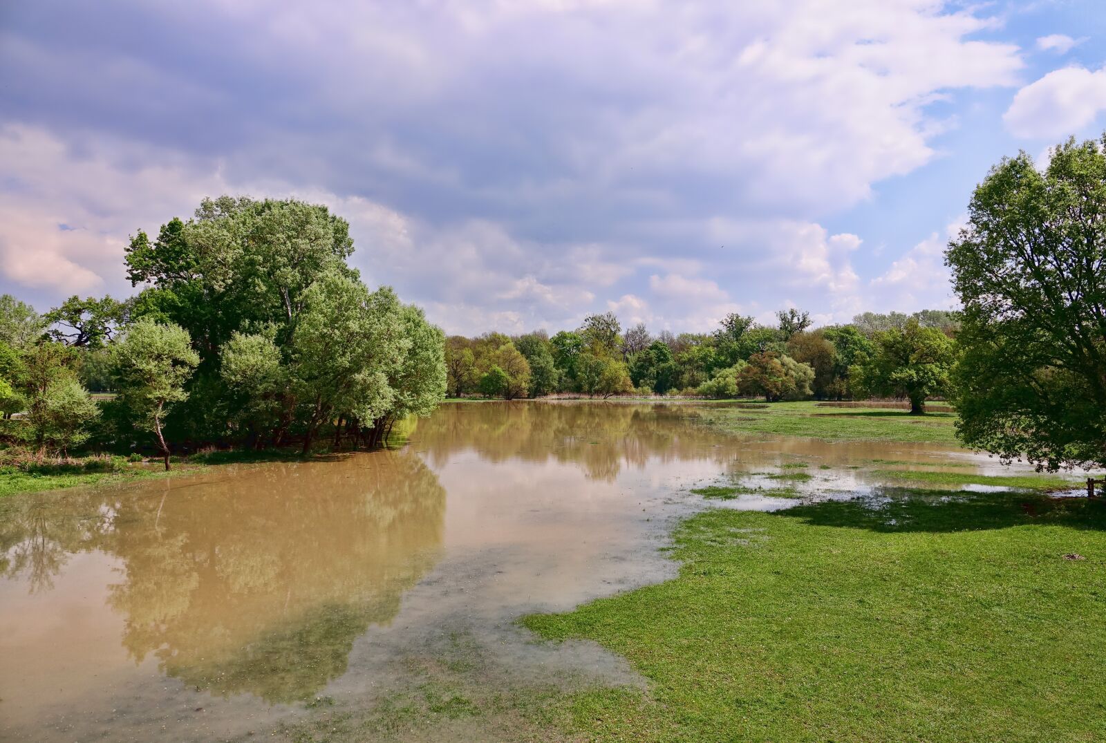 Sony Cyber-shot DSC-RX10 III sample photo. Tree, nature, waters photography