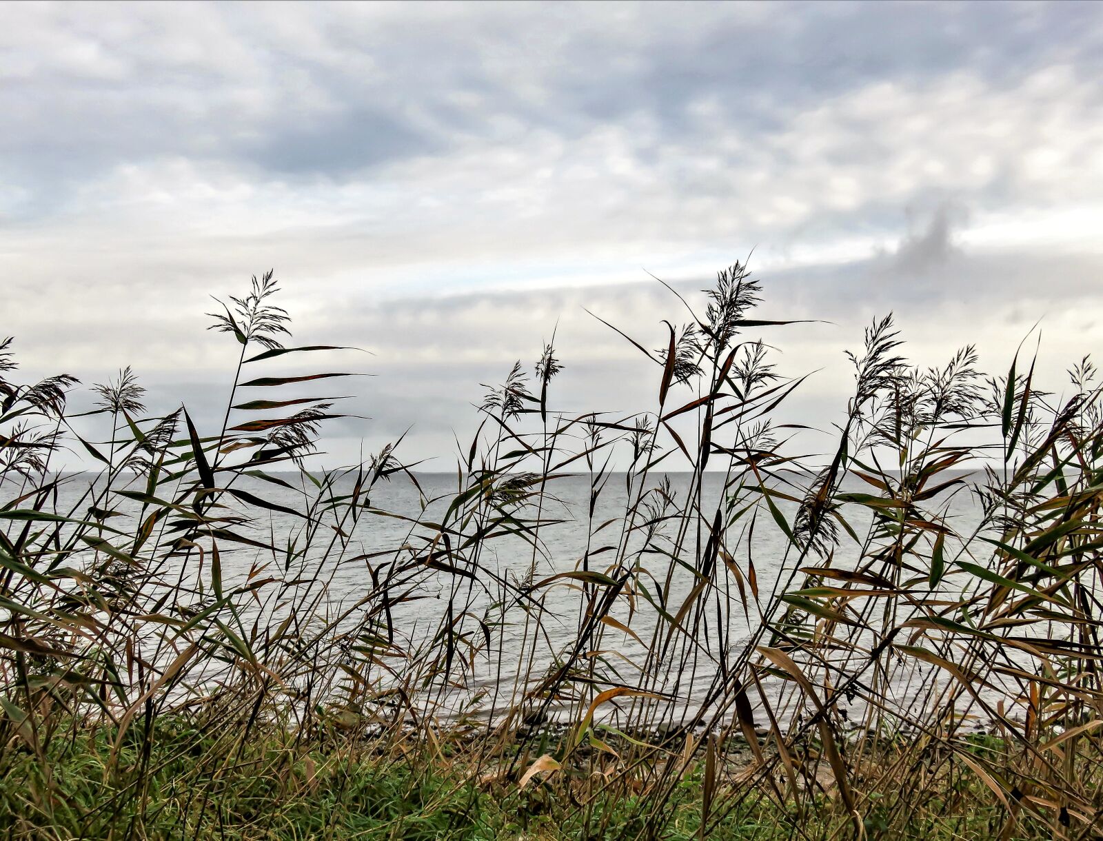 Canon PowerShot SX710 HS sample photo. Landscape, baltic sea coast photography