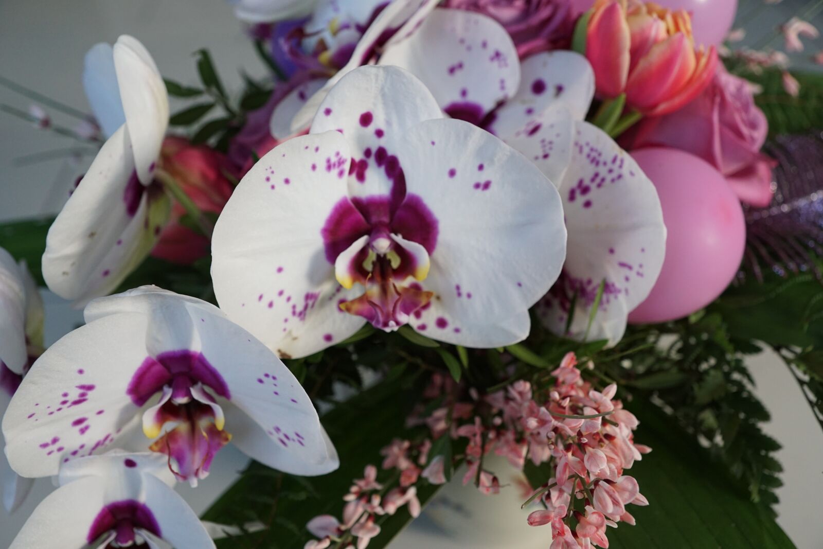 Sony DT 16-50mm F2.8 SSM sample photo. Flowers, strauss, luftbalon photography