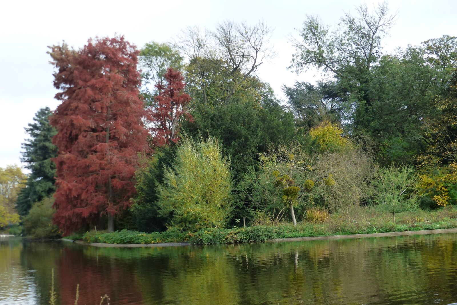 Panasonic Lumix DMC-FZ200 sample photo. Bois de vincennes, lake photography
