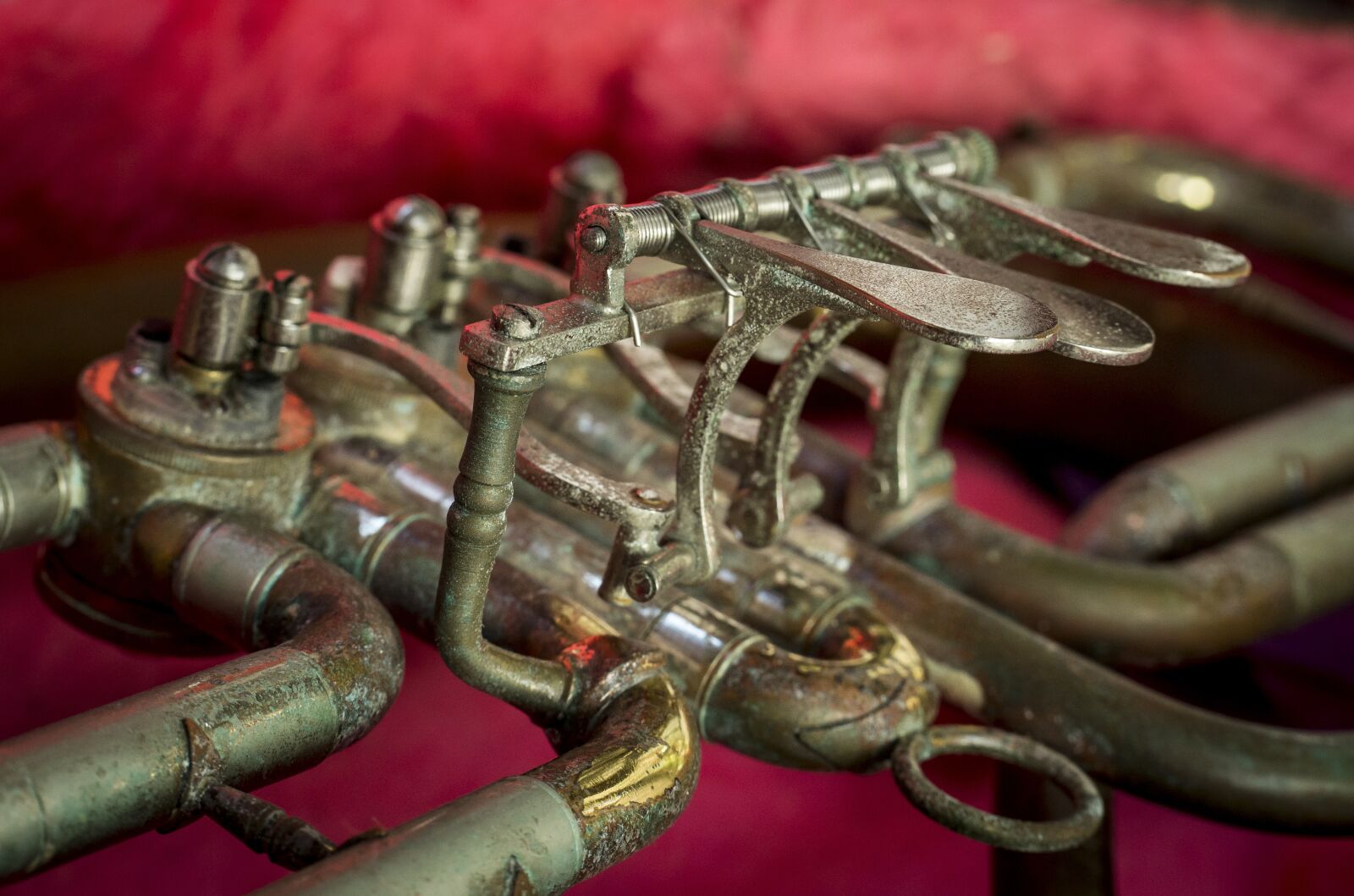 Nikon D3100 sample photo. Tarnished, musical instrument, logo photography