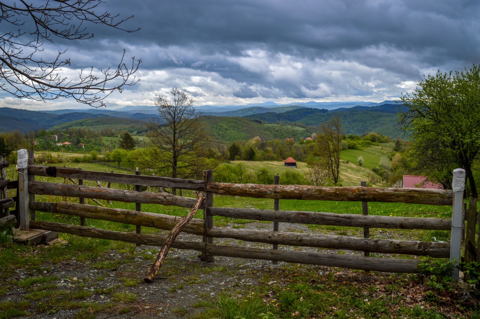 Nikon D3200 sample photo. Serbia, tara, mountain photography