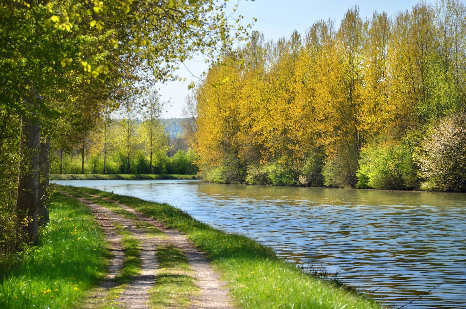 Nikon D5100 sample photo. Channel, river, waterpolo photography