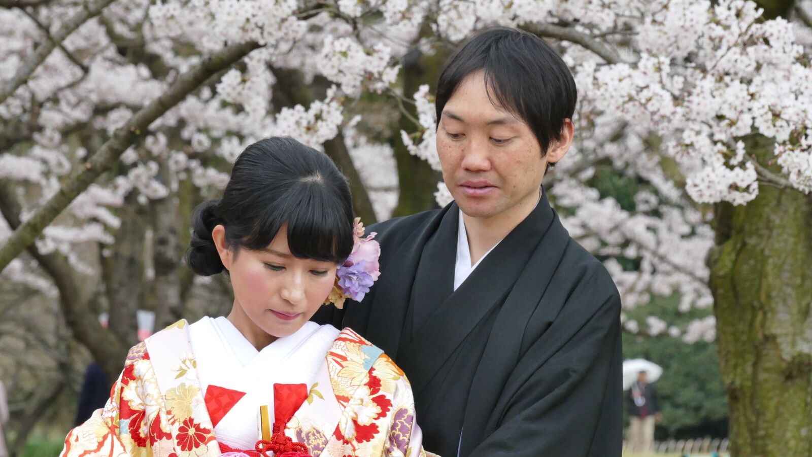 Panasonic Lumix DMC-FZ1000 sample photo. Japan, wedding, spring photography