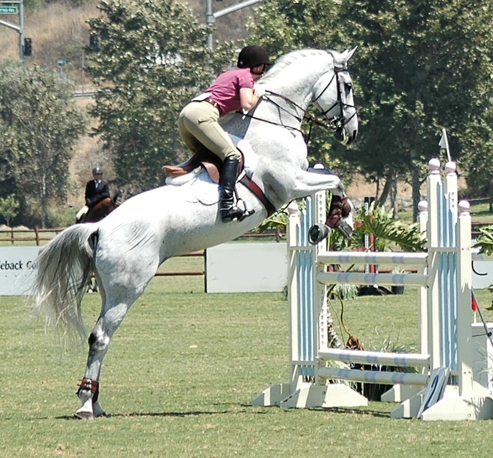 Nikon D70s sample photo. Horse, horseback, ride photography