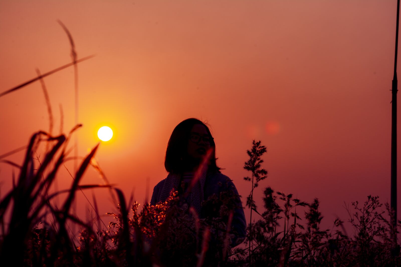 Nikon D7100 sample photo. Sun, sunset, pink sunset photography