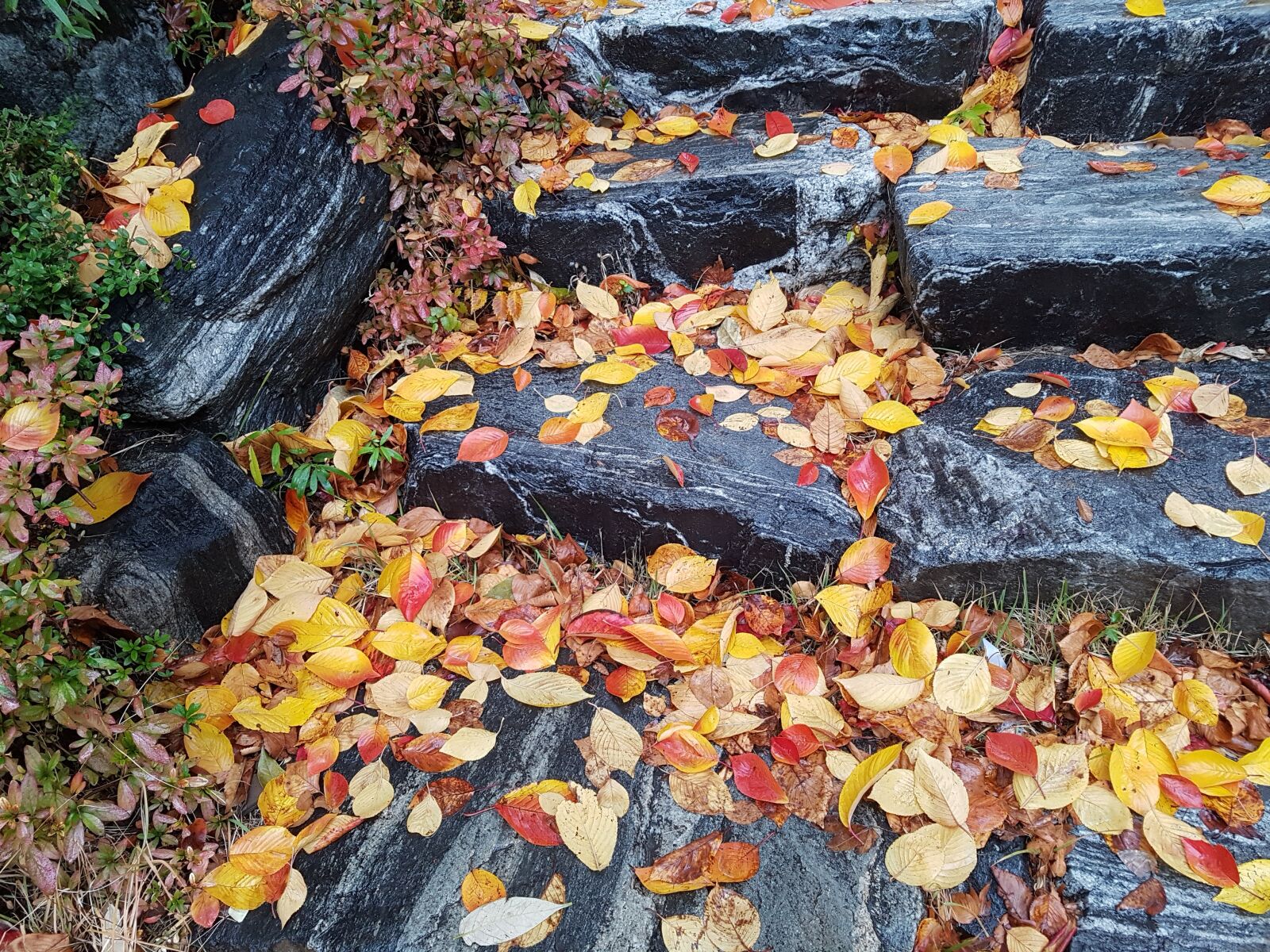 Samsung Galaxy S7 sample photo. Stone steps, leaves, autumn photography