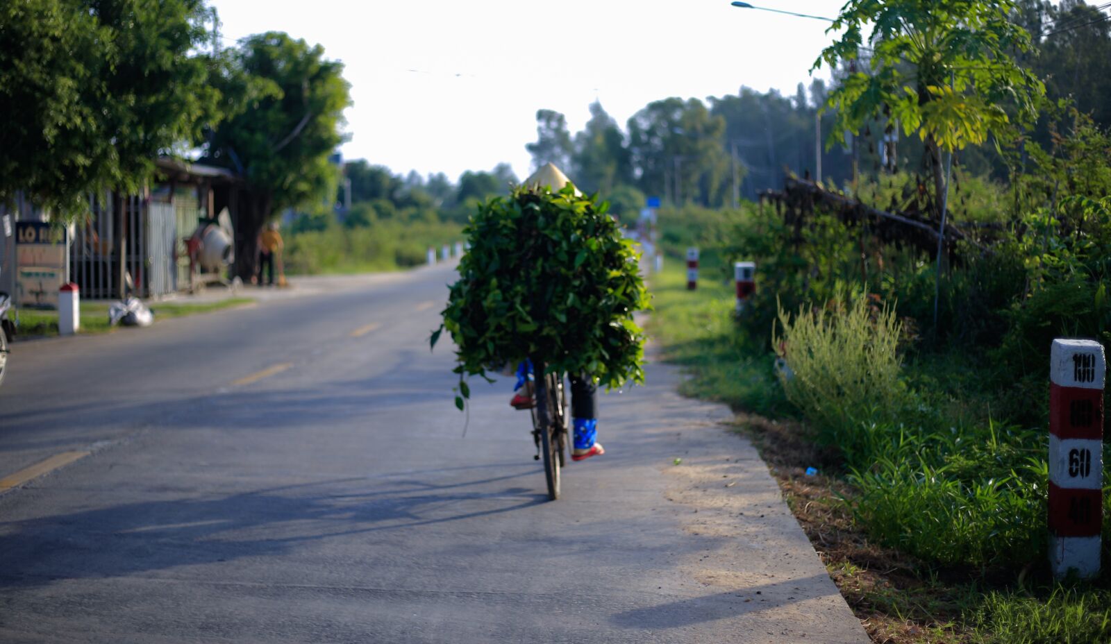 Canon EOS 6D + Canon EF 50mm F1.8 STM sample photo. Road, bike, people photography