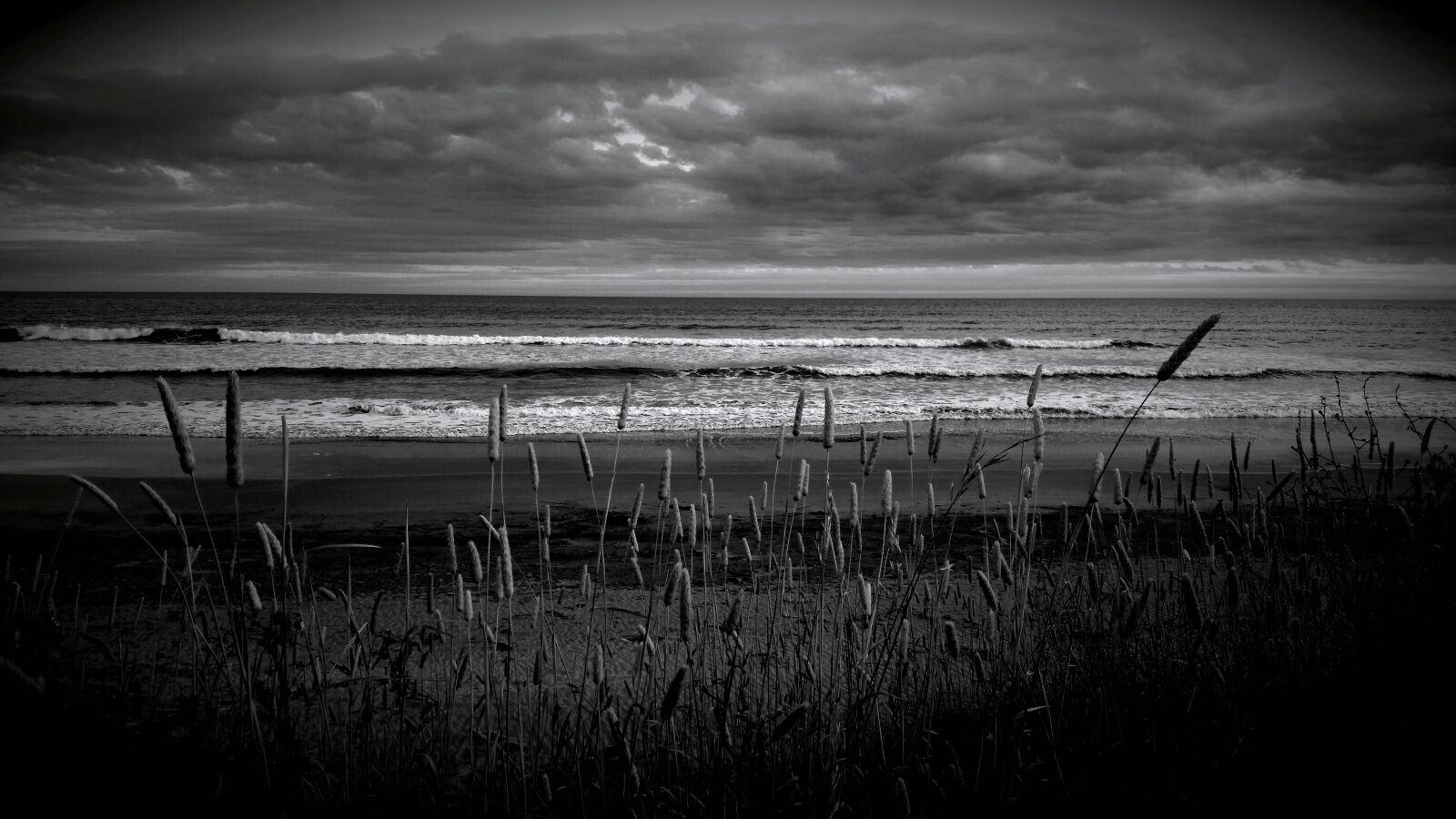 Samsung Galaxy S5 sample photo. Beach, black, black, and photography