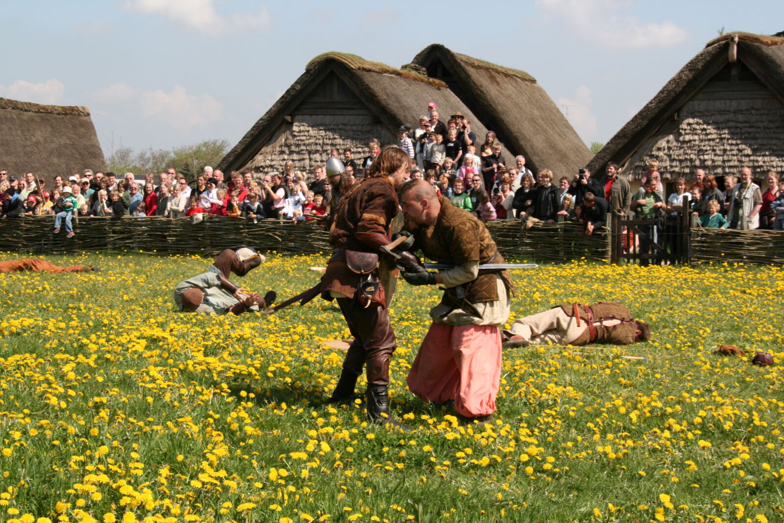 Sigma 18-200mm f/3.5-6.3 DC OS sample photo. Vikings photography