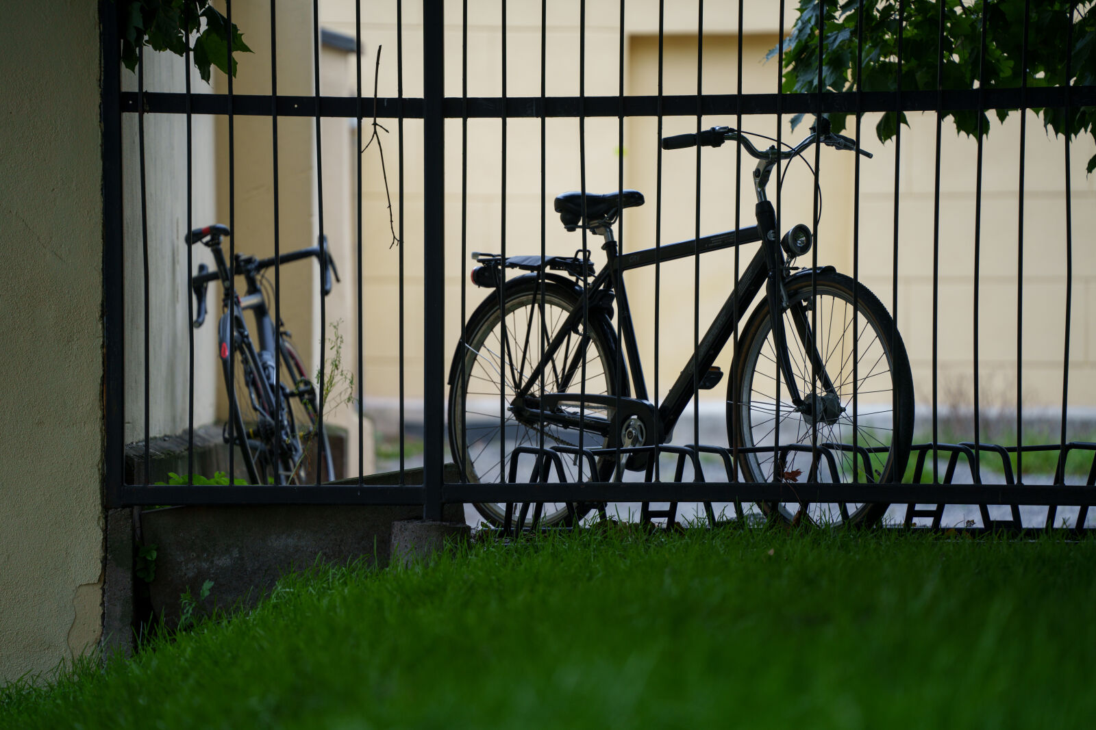 Sony a7R V sample photo. Backyard bicycle photography