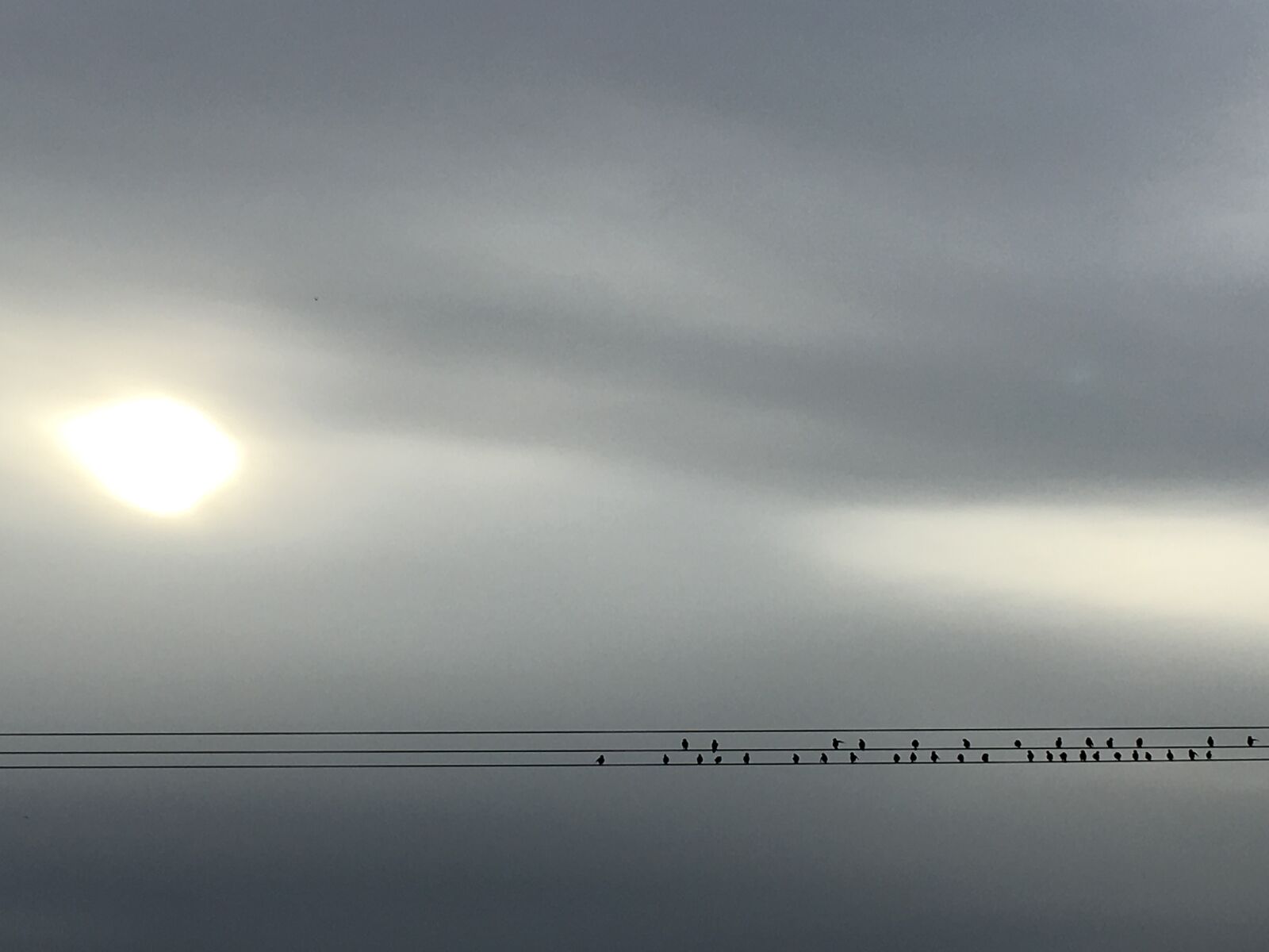 iPhone 6s Plus back camera 4.15mm f/2.2 sample photo. Sun, clouds, birds photography