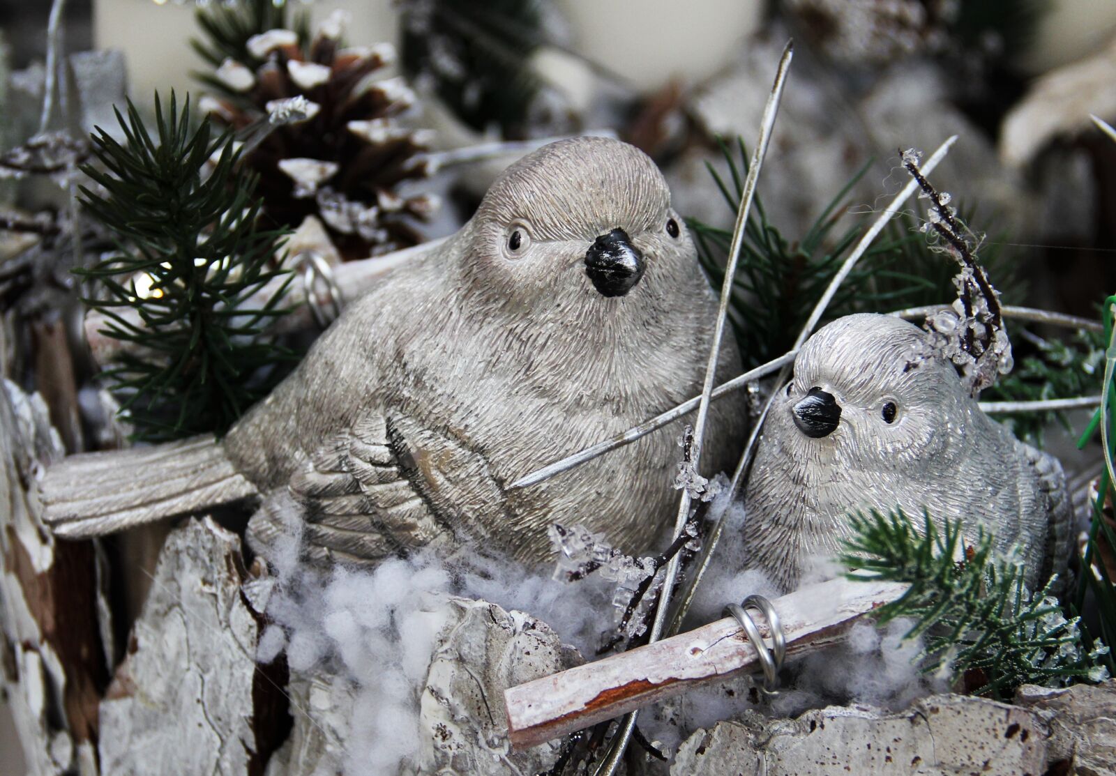 Canon EOS 550D (EOS Rebel T2i / EOS Kiss X4) sample photo. Silver weihnachtsdeko, birdie, pine photography