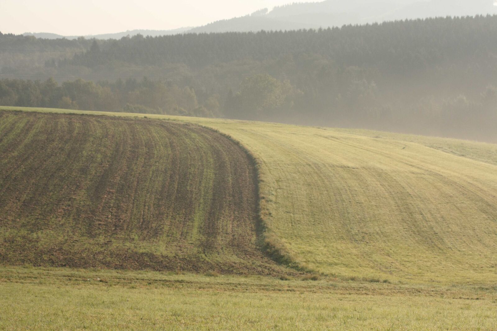 Canon EOS 450D (EOS Rebel XSi / EOS Kiss X2) sample photo. Field, fields, landscape photography