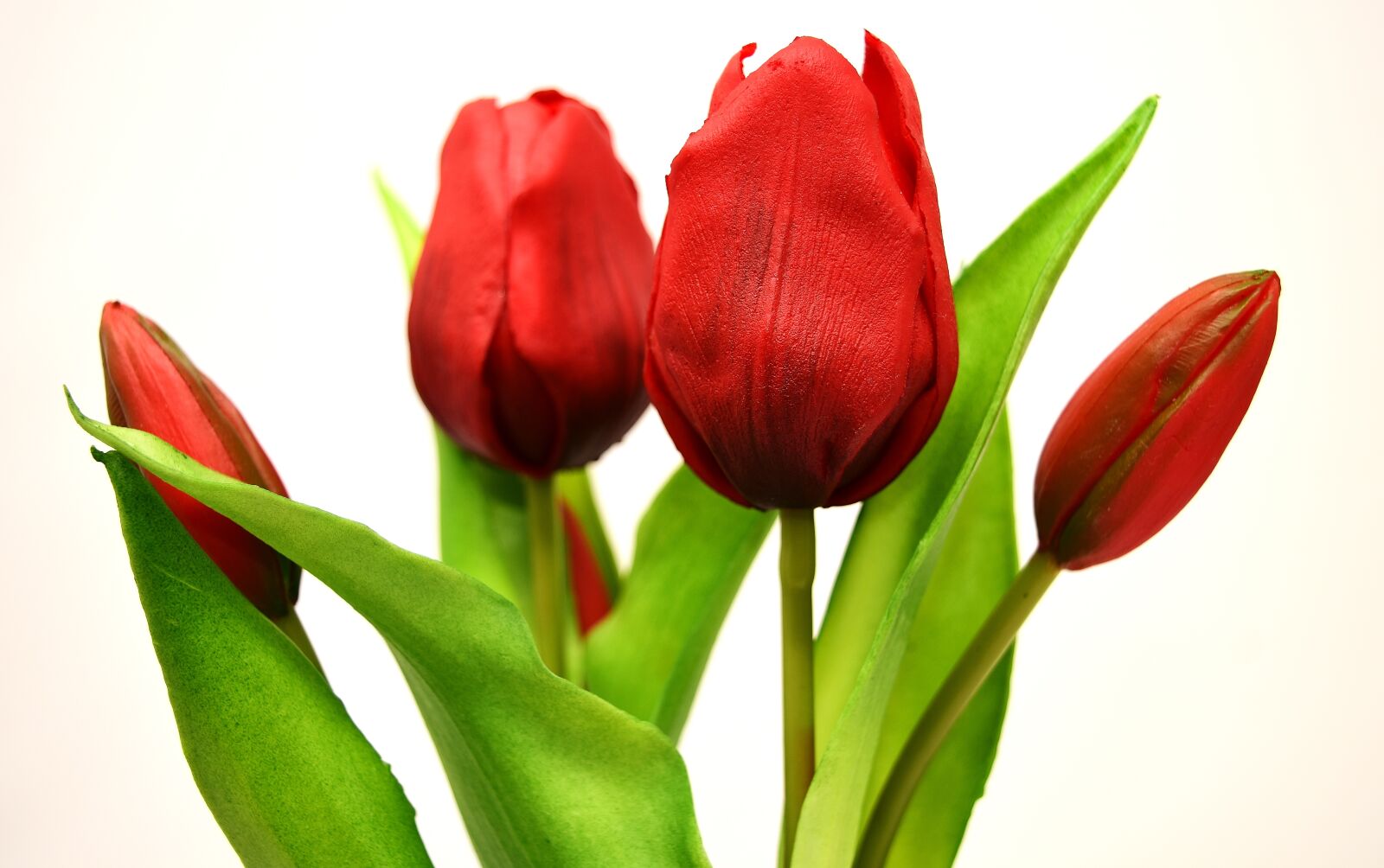 Nikon D7200 sample photo. Tulips, flowers, artificial photography