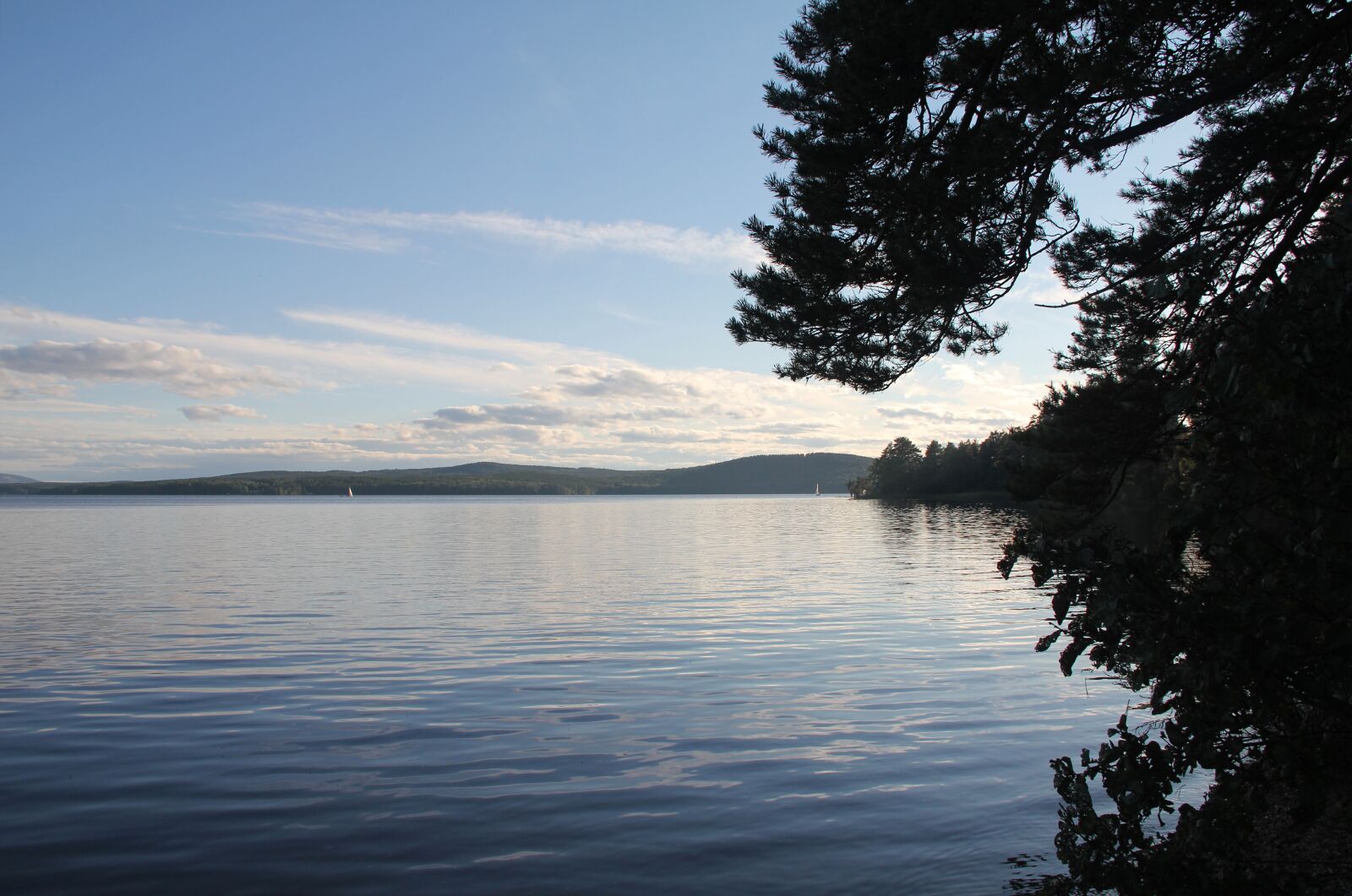 Canon EOS 60D sample photo. Lake, forest lake, spruce photography