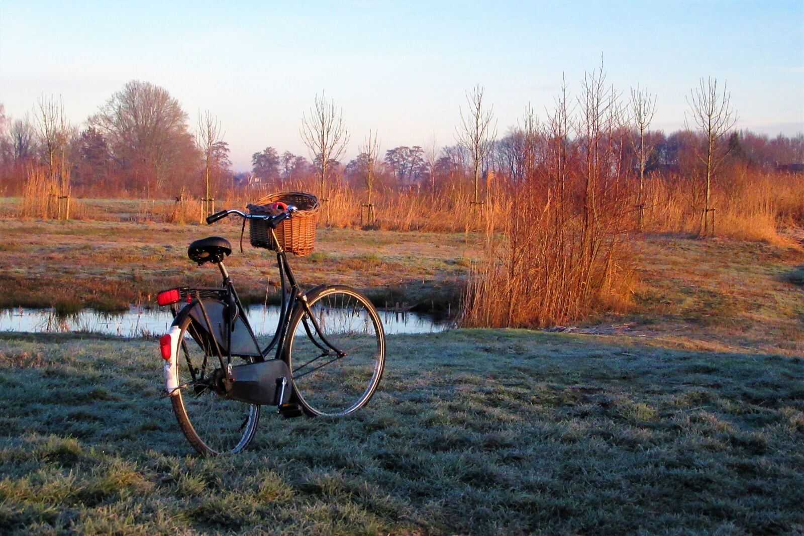 Canon PowerShot SX610 HS sample photo. Bicycle, grandma's bike, netherlands photography