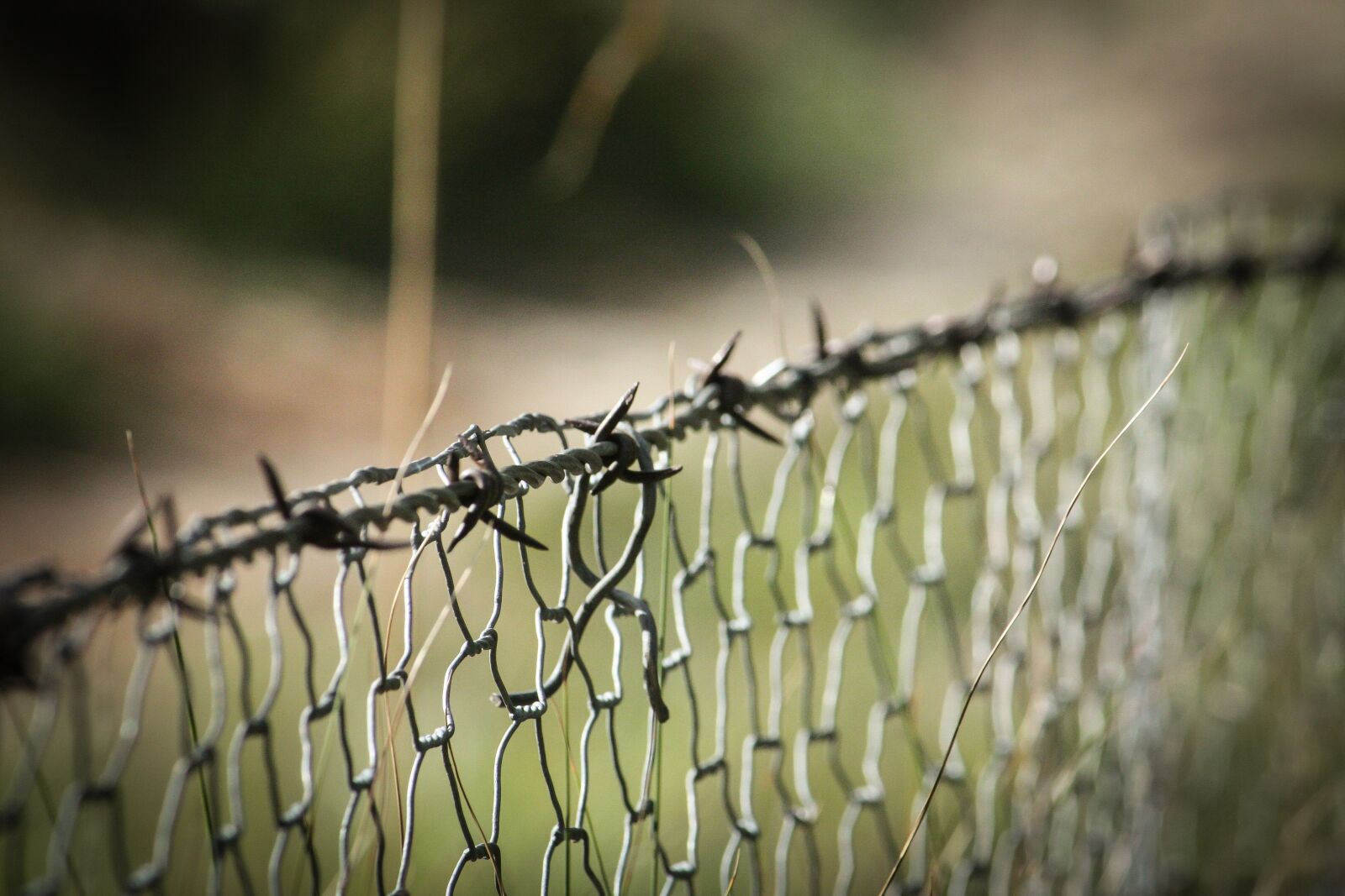Canon EF-S 55-250mm F4-5.6 IS sample photo. Barbed wire, fence, wire photography