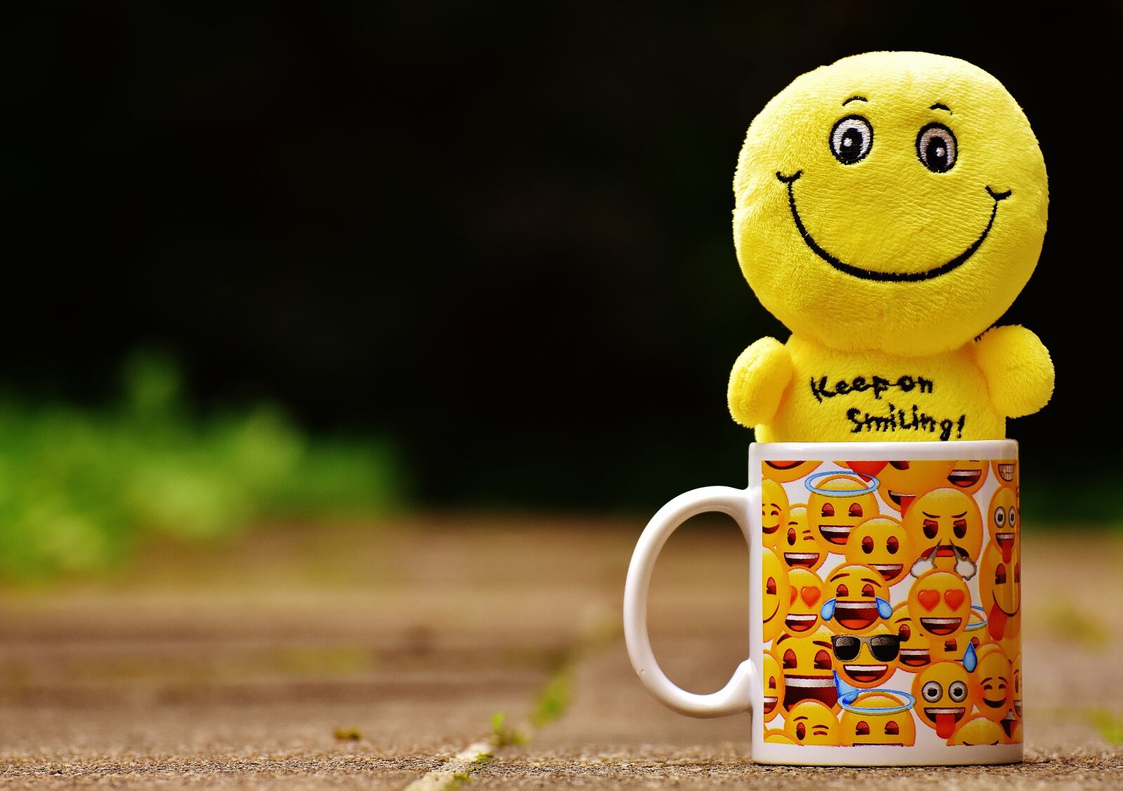 Nikon D7200 sample photo. Smilies, cup, yellow photography