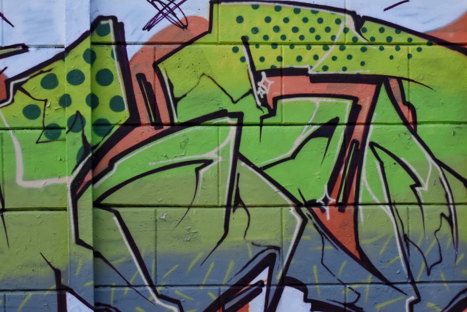 Nikon D5500 sample photo. Greenish yellow, signature, vandalism photography