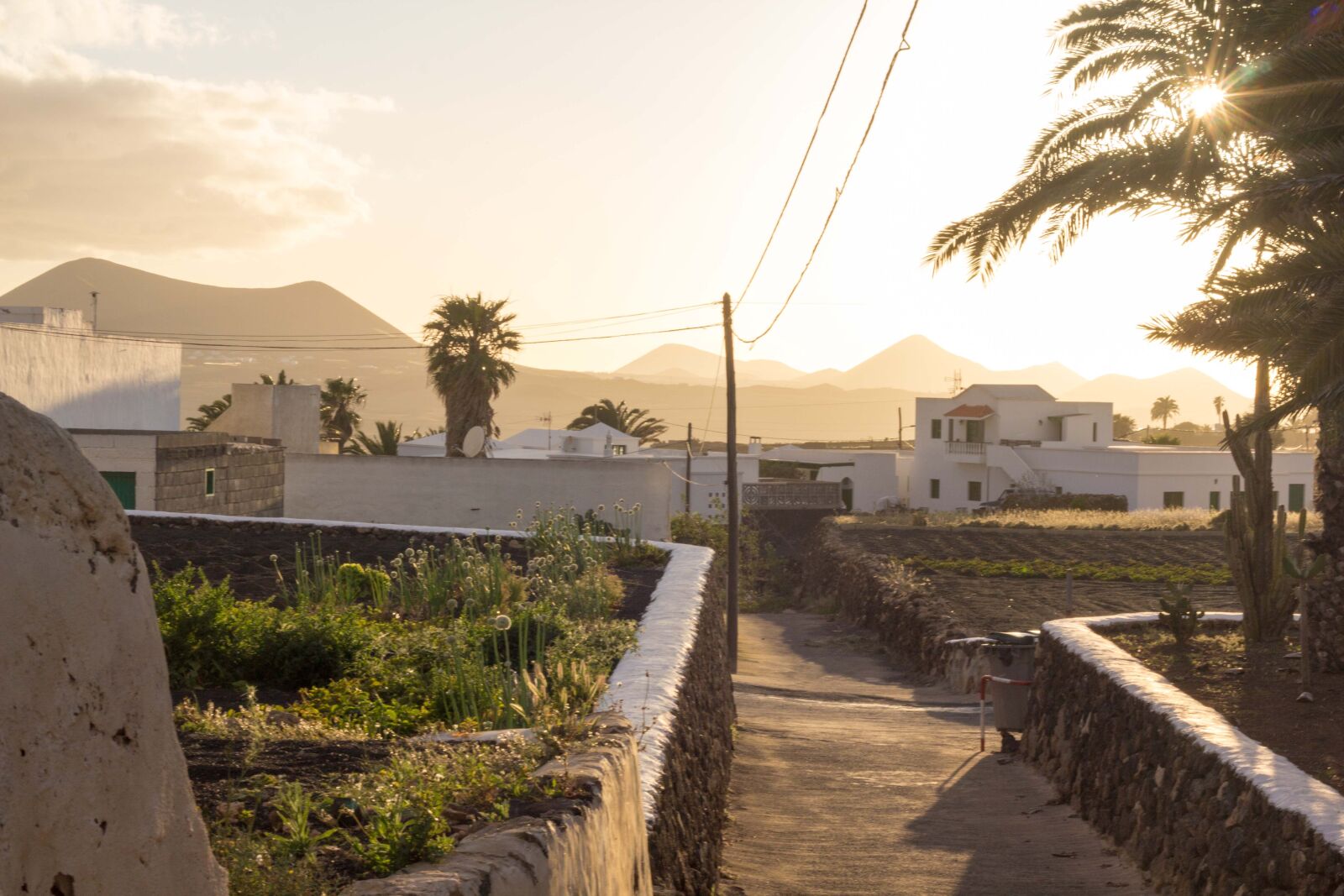 Canon EOS 60D + Canon EF 50mm F1.8 II sample photo. Teguise, lanzarote, canary islands photography
