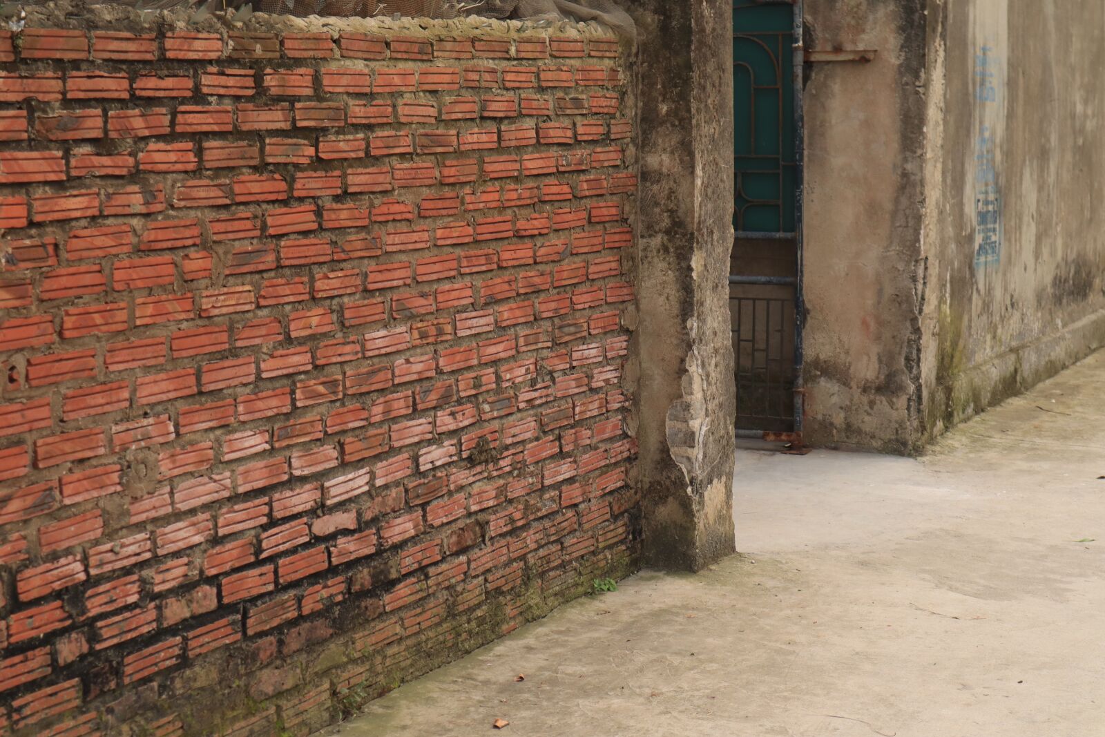 Canon EOS M50 (EOS Kiss M) sample photo. Port, the wall, lane photography