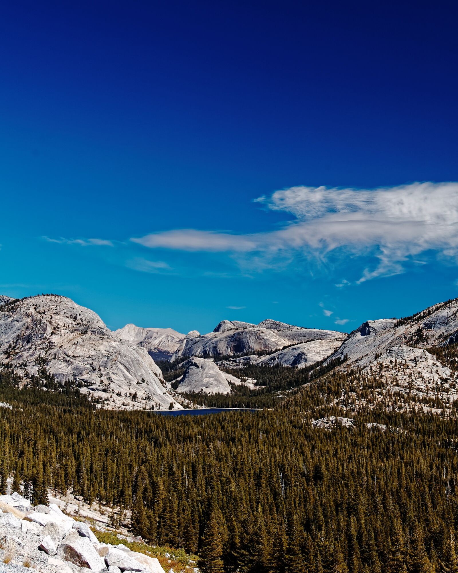 Nikon D50 sample photo. California, national park, usa photography