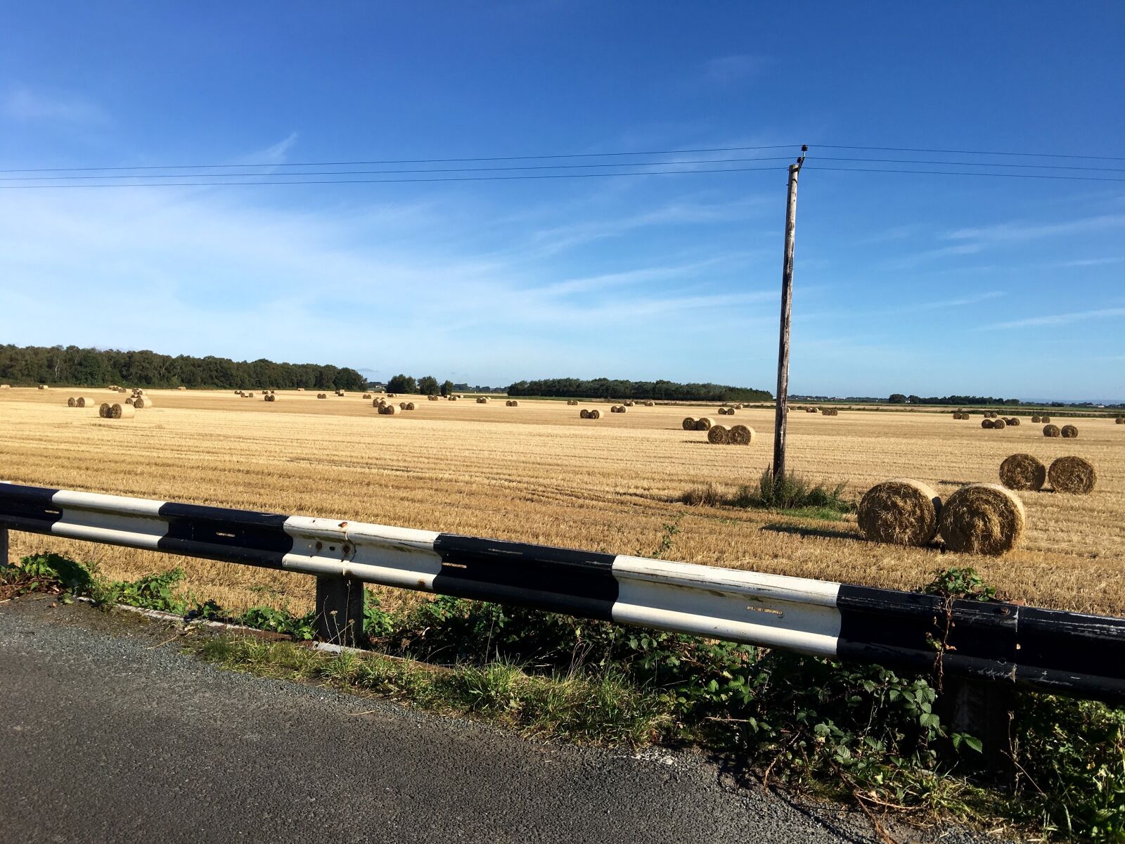 Apple iPhone 6s Plus sample photo. Summer, harvest, hay bails photography