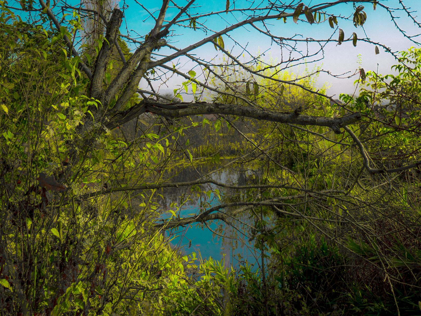 Olympus OM-D E-M10 sample photo. Pond, water, meadow photography