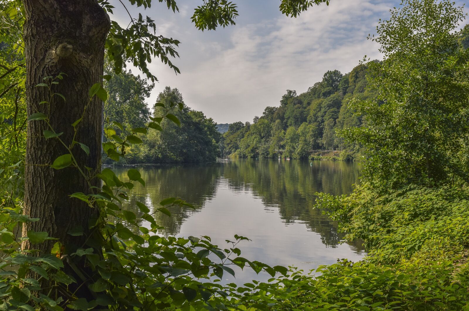 Nikon D3300 sample photo. Landscape, nature, river photography