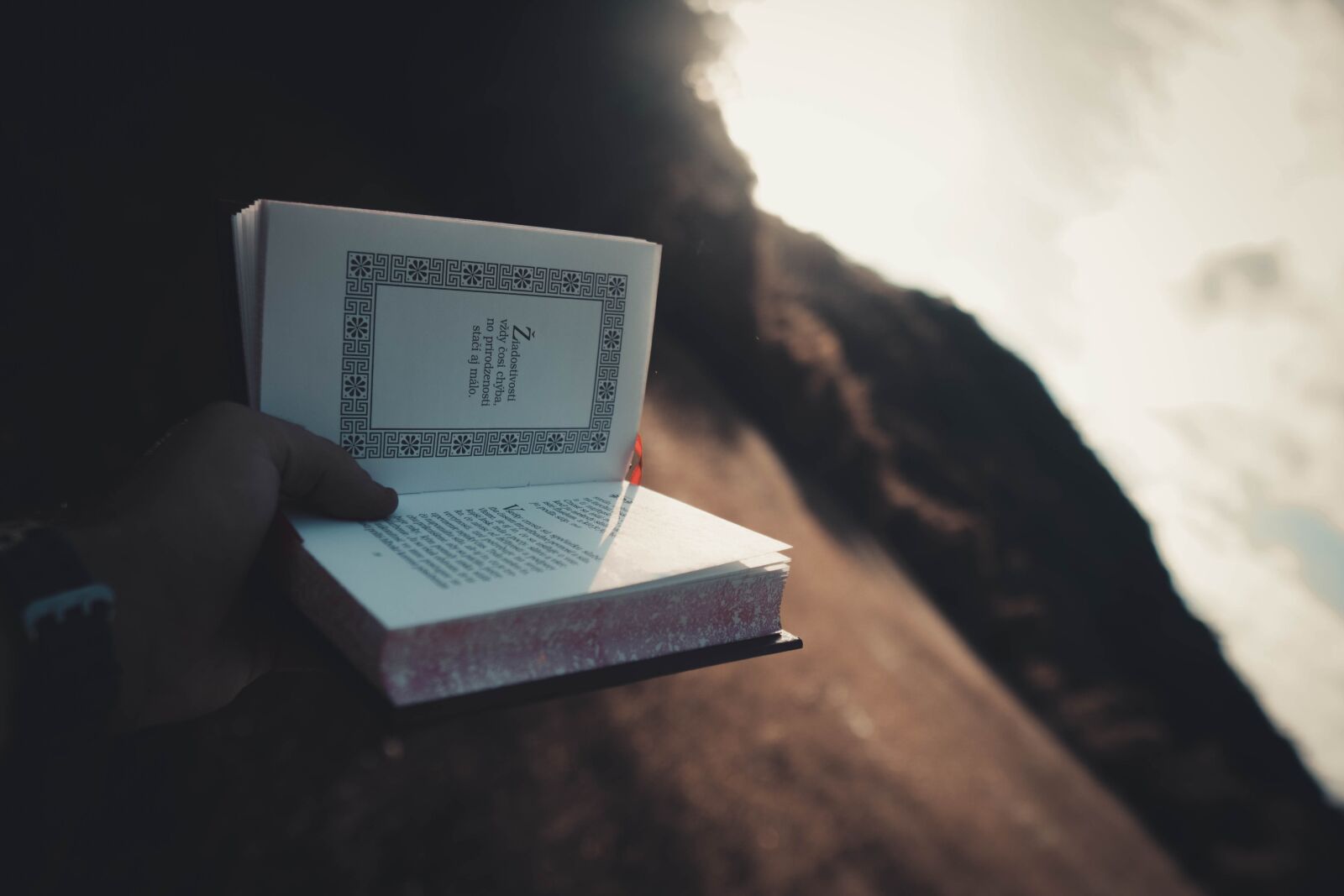 Sony a6400 + Sigma 16mm F1.4 DC DN | C sample photo. Stocizmus, philosophy, book photography