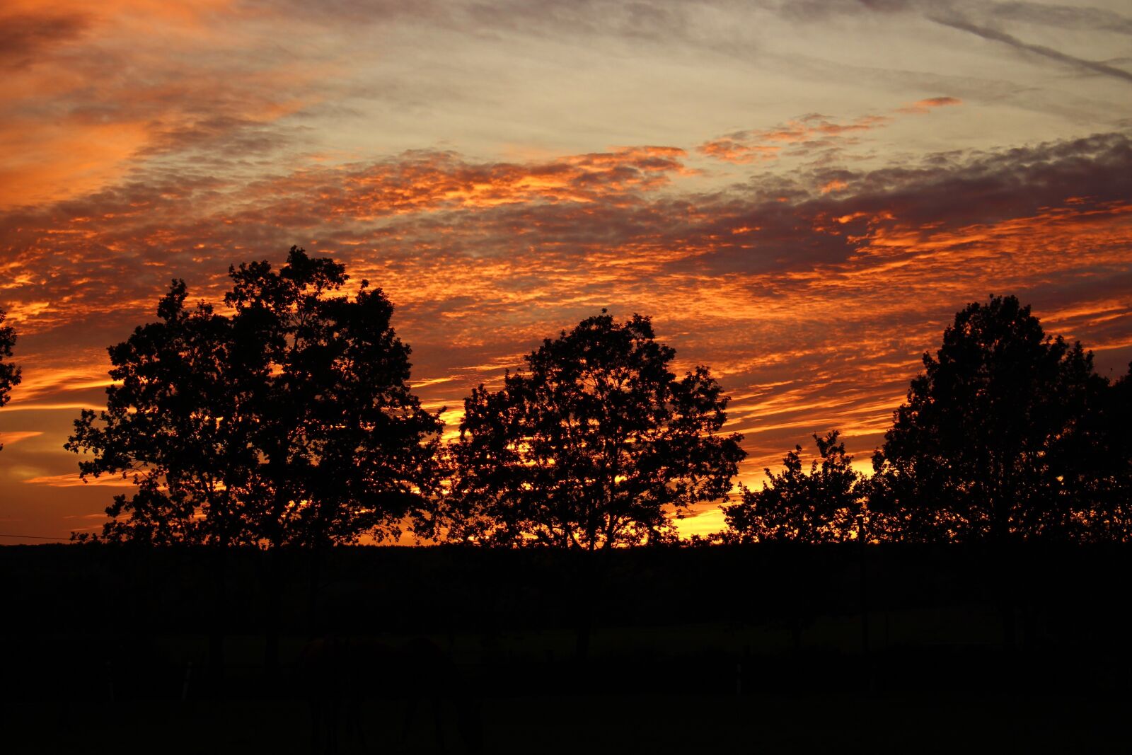 Canon EOS 700D (EOS Rebel T5i / EOS Kiss X7i) sample photo. Sunset, nature, landscape photography