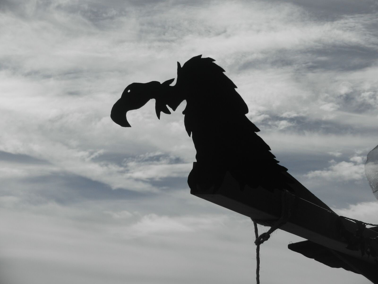 Nikon Coolpix S9100 sample photo. Vulture, carving, ghost town photography