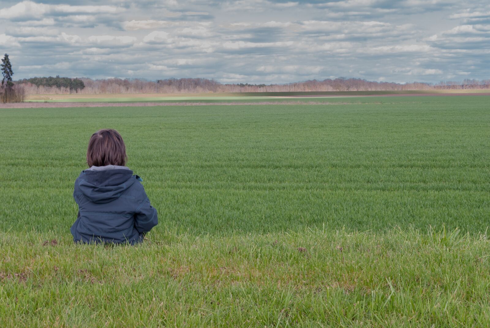 Nikon D80 sample photo. Field, lawn, prairie photography