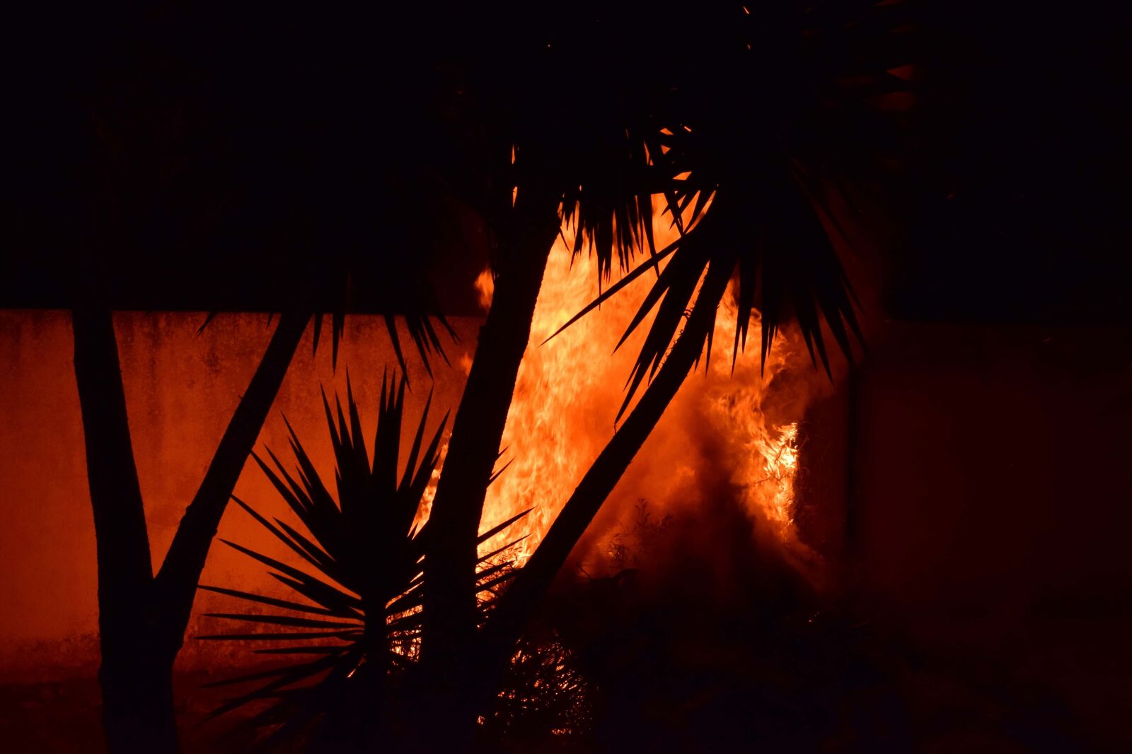 Nikon D3300 sample photo. Smoke, wildfire, bonfire, heat photography